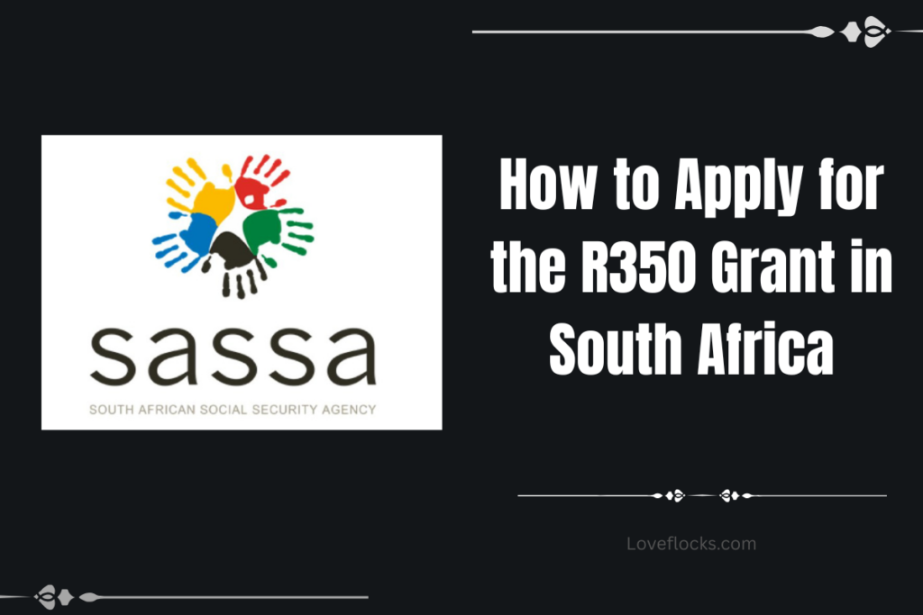 How to Apply for the R350 Grant in South Africa