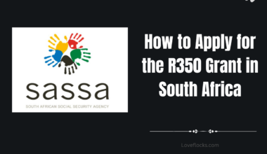 How to Apply for the R350 Grant in South Africa