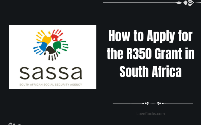 How to Apply for the R350 Grant in South Africa