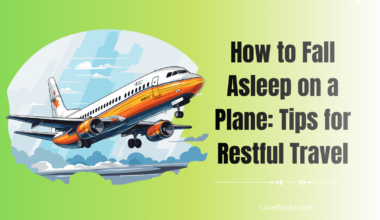 How to Fall Asleep on a Plane: Tips for Restful Travel