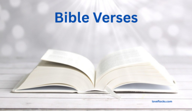 Bible Verses