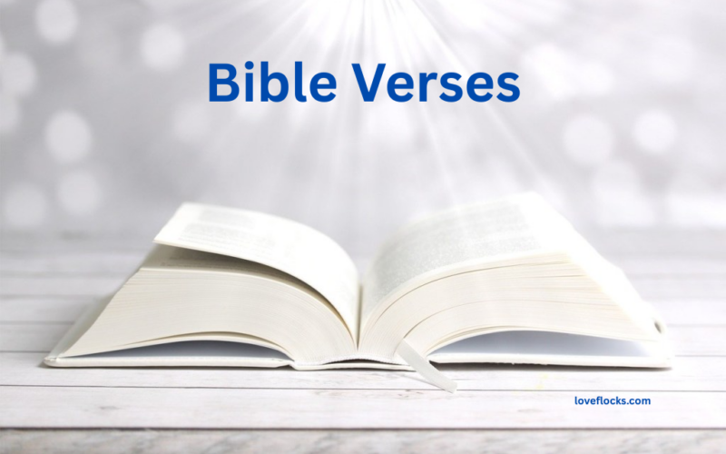 Bible Verses