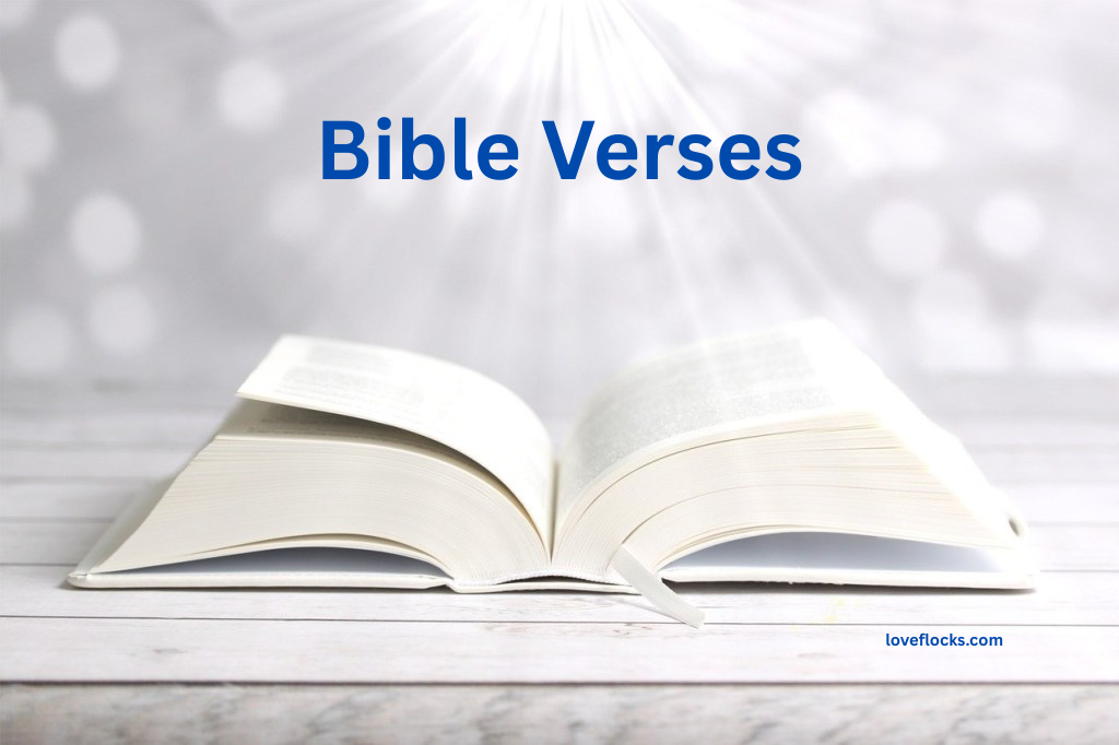 Bible Verses
